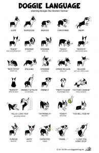 Body Language doggy language poster